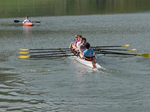 rudermania_wallsee
