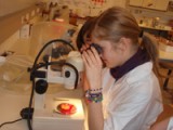 Biotechnologie_Exkursion